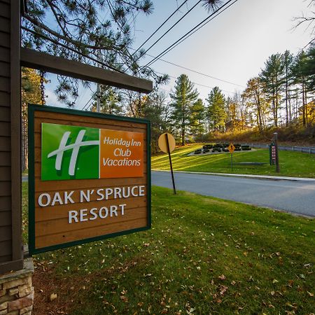 Holiday Inn Club Vacations Oak N Spruce Resort In The Berkshires Ли Экстерьер фото