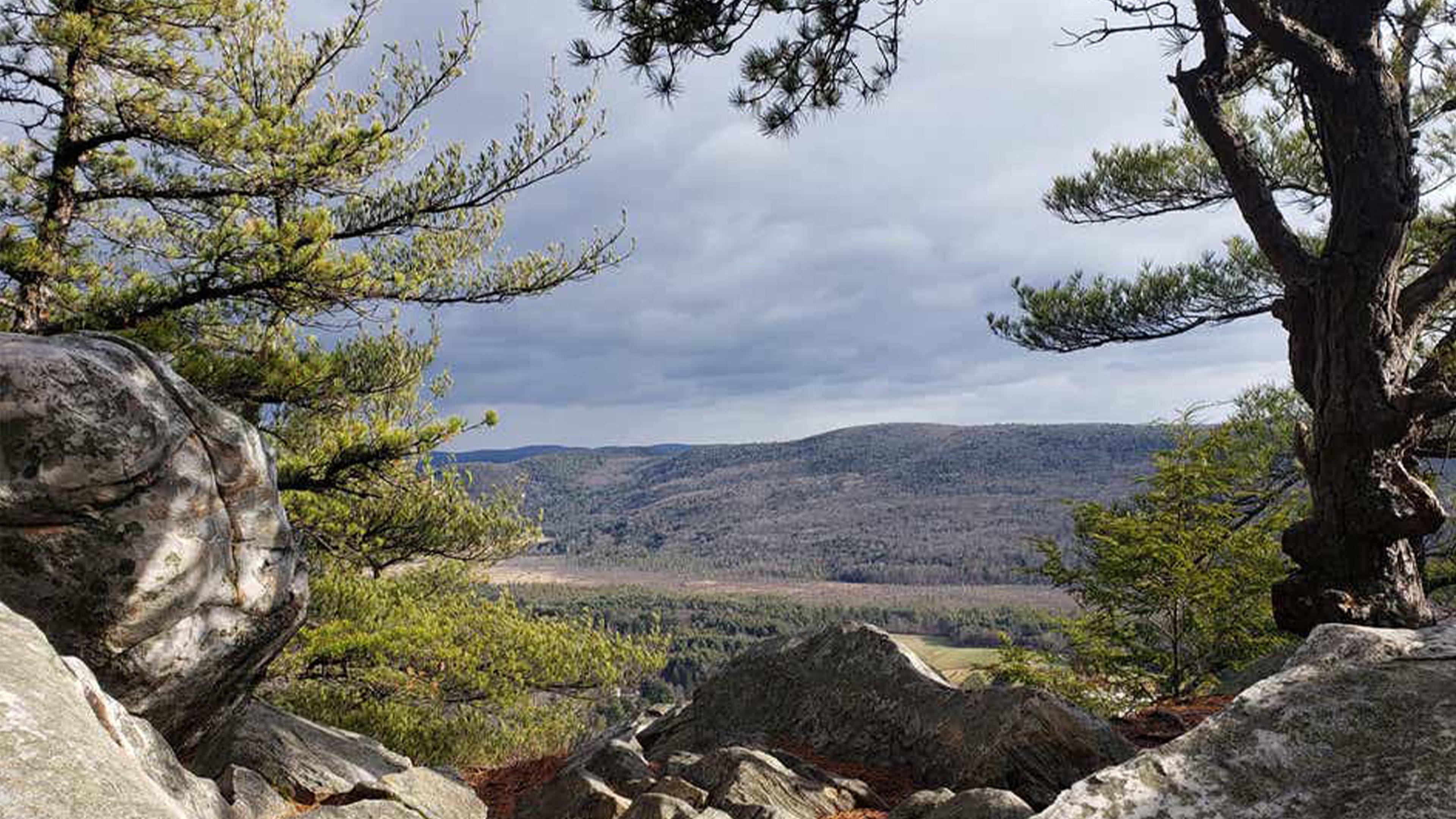 Holiday Inn Club Vacations Oak N Spruce Resort In The Berkshires Ли Экстерьер фото